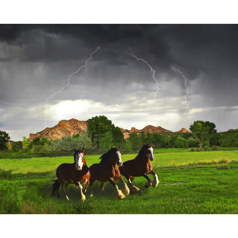 August Grove 'Horse Lightning Horses Running' Photographic Print on
